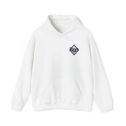 Tampa Bay Rays Embroidered Hoodie