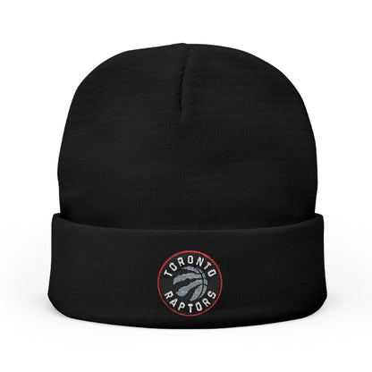 Embroidered Toronto Raptors Knit Beanie