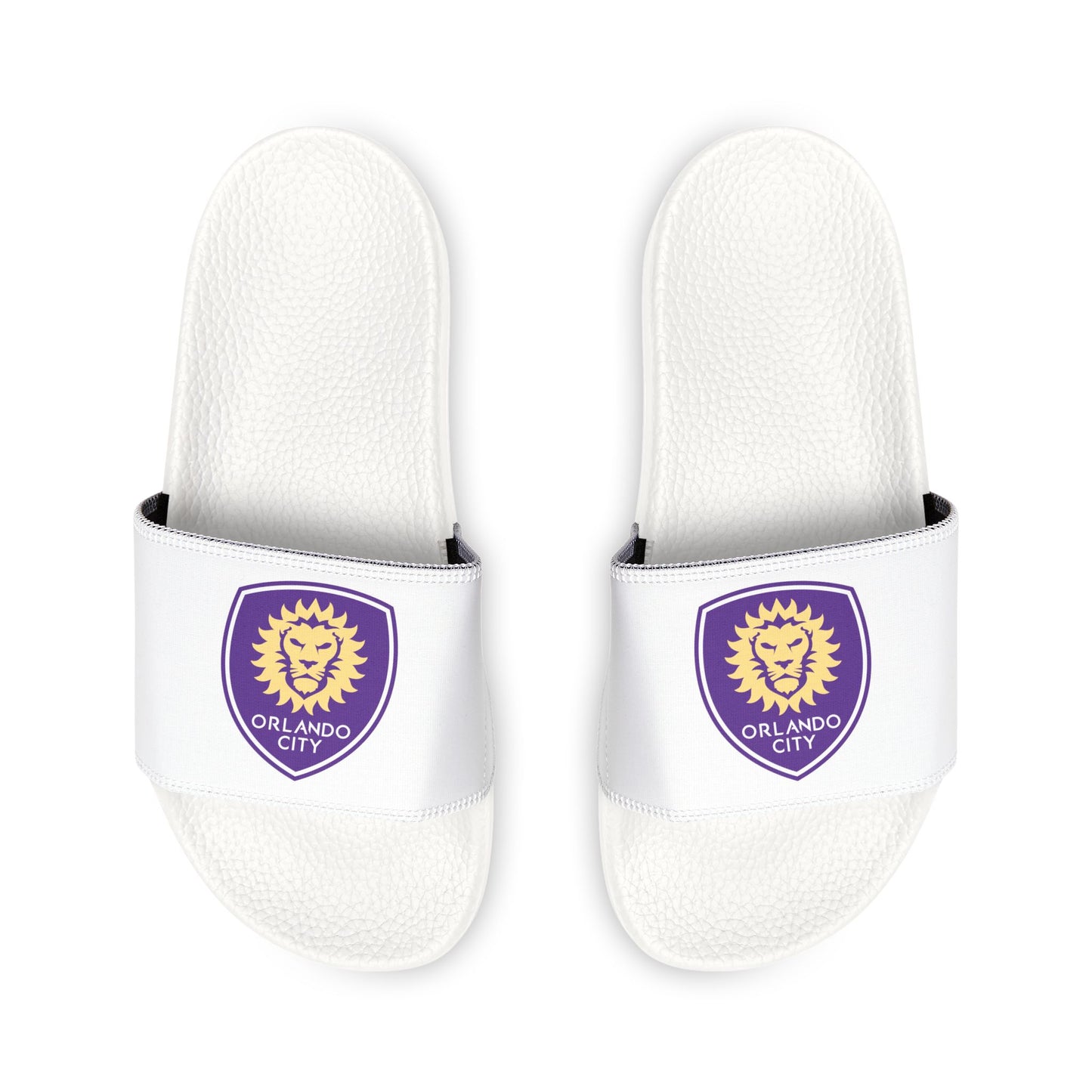 Orlando City FC Slides