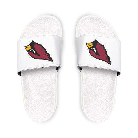 Arizona Cardinals Slides