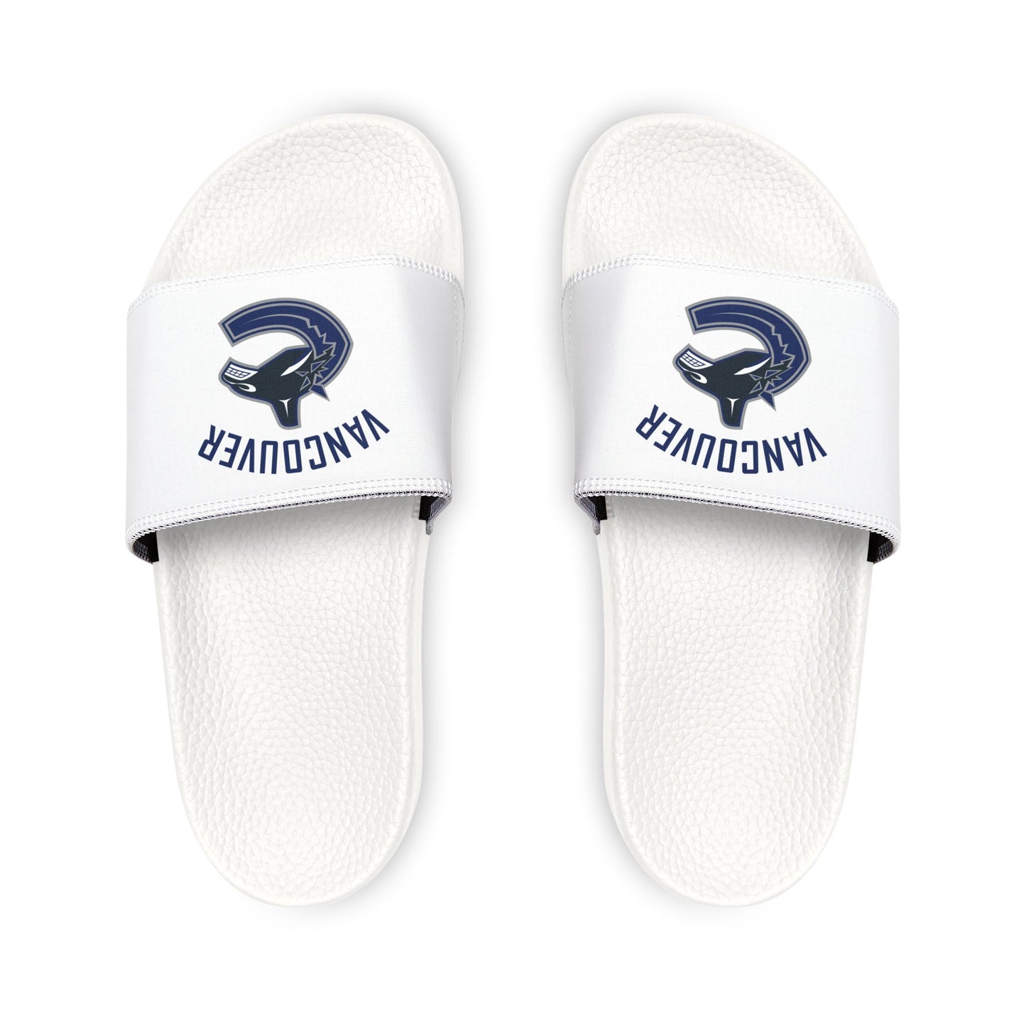 Vancouver Canucks Slides