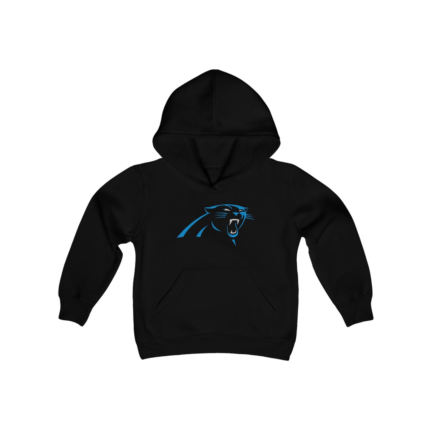 Carolina Panthers Youth Hoodie