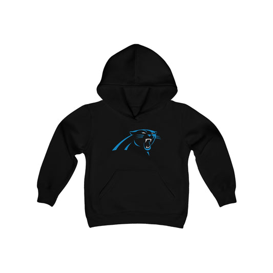 Carolina Panthers Youth Hoodie