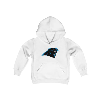 Carolina Panthers Youth Hoodie