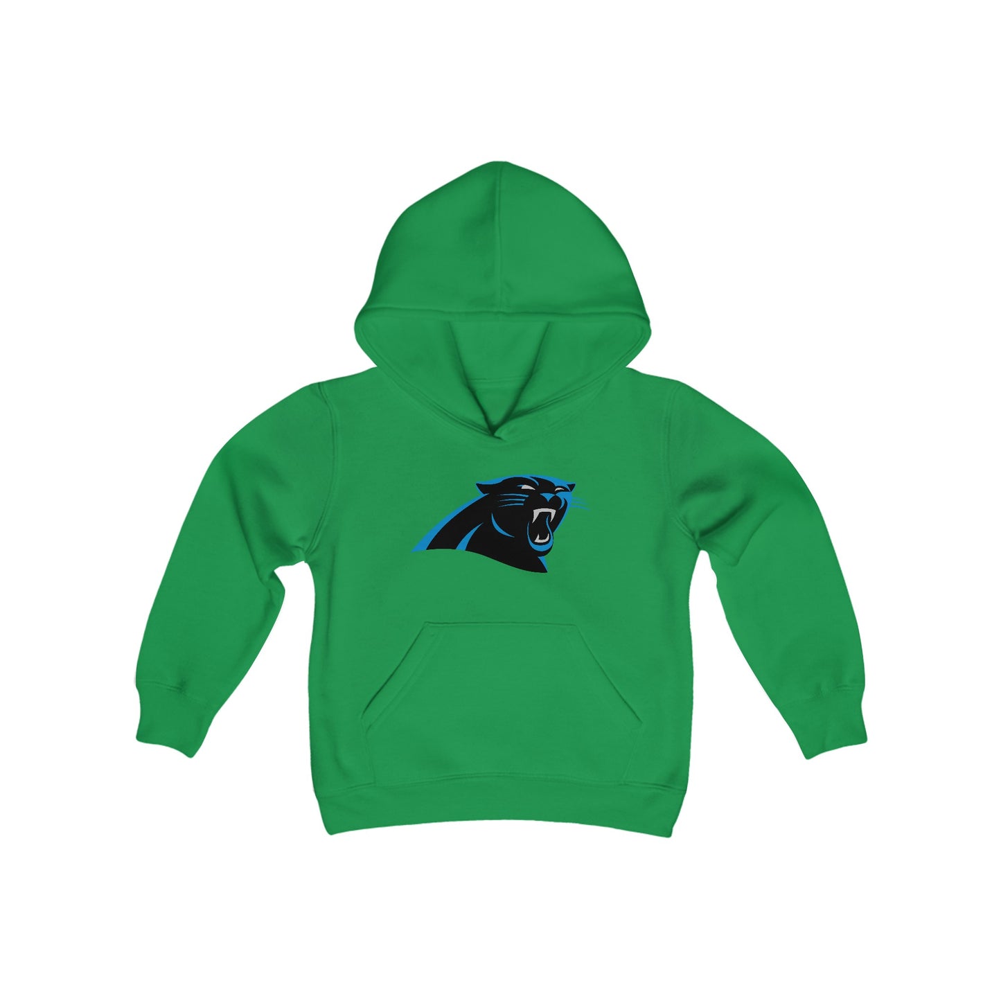 Carolina Panthers Youth Hoodie