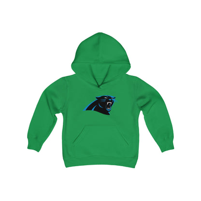 Carolina Panthers Youth Hoodie