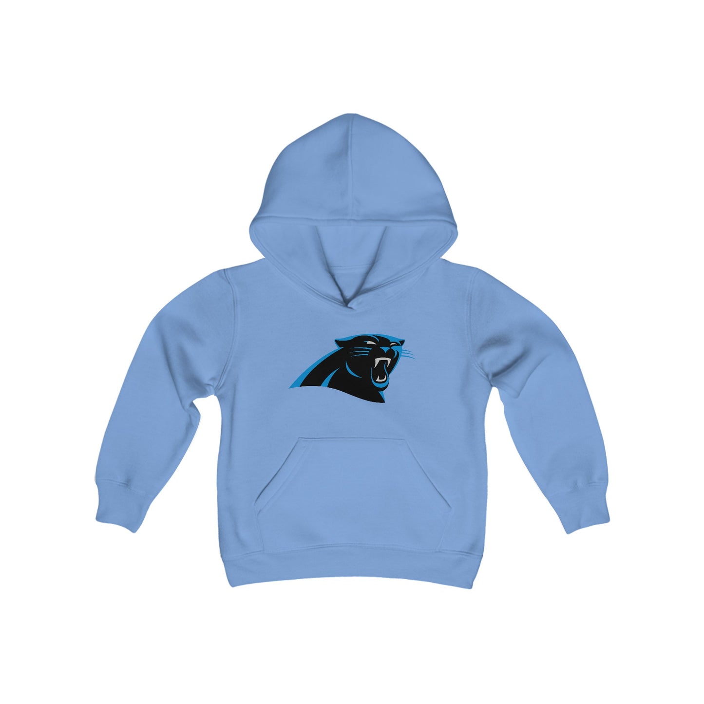 Carolina Panthers Youth Hoodie