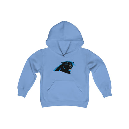 Carolina Panthers Youth Hoodie