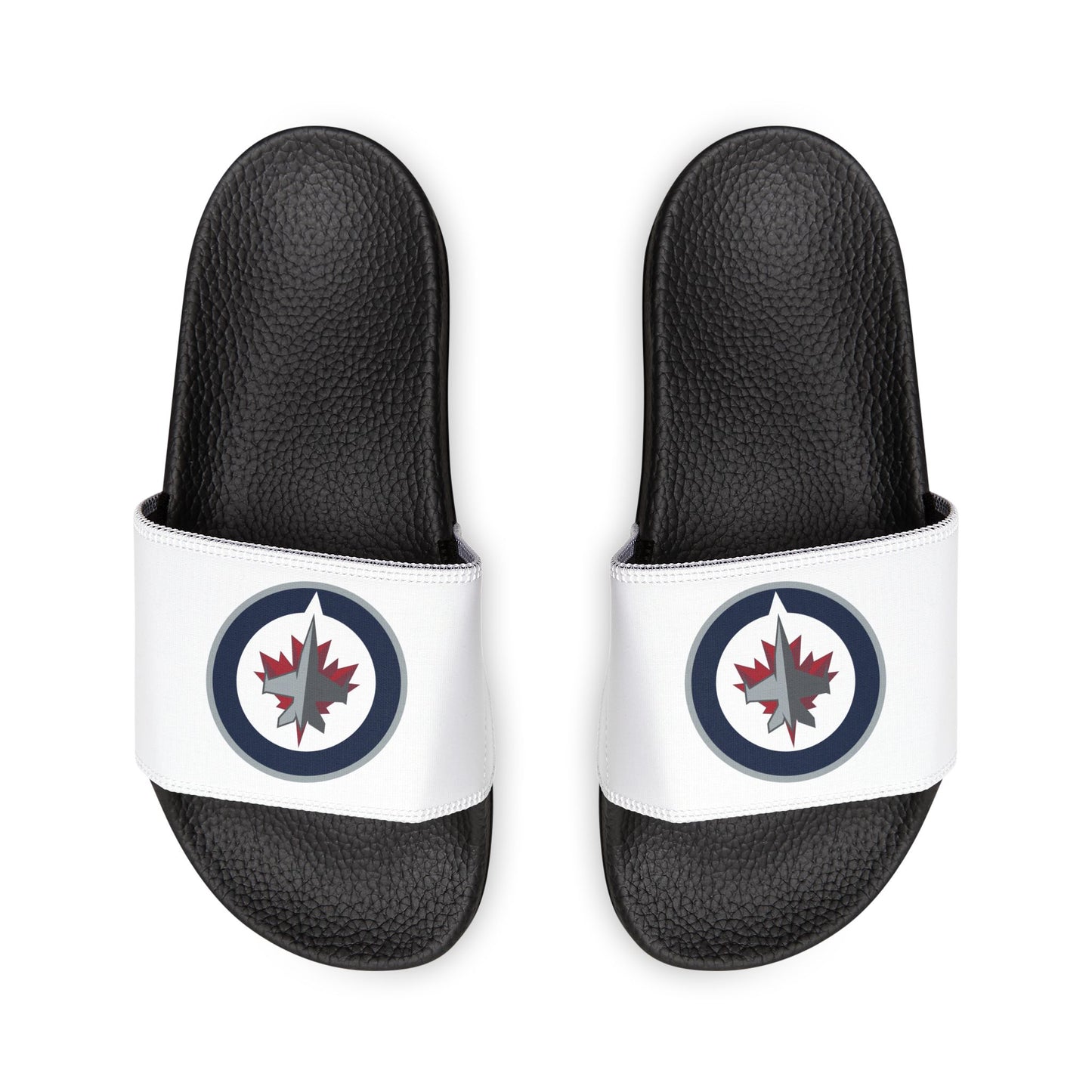 Winnipeg Jets Slides