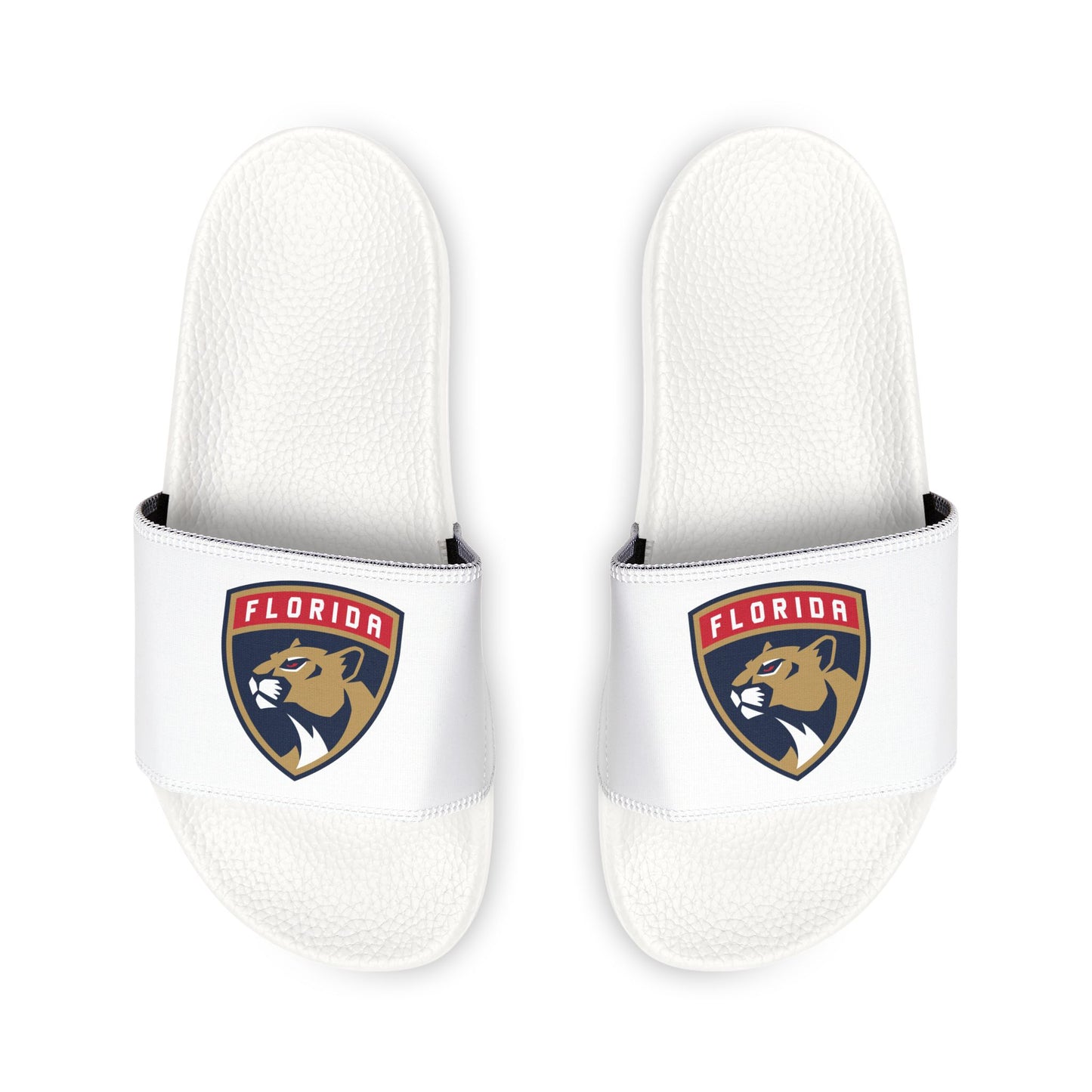 Florida Panthers Slides