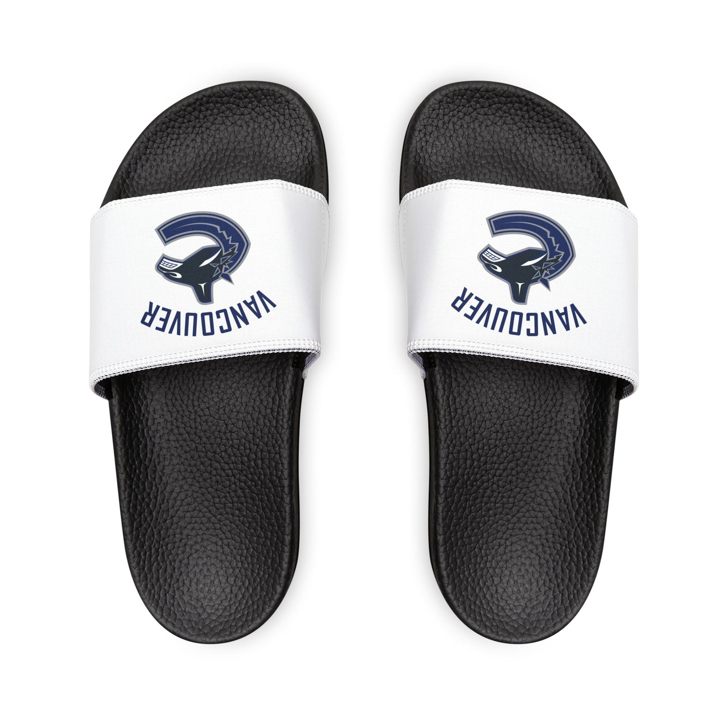 Vancouver Canucks Slides