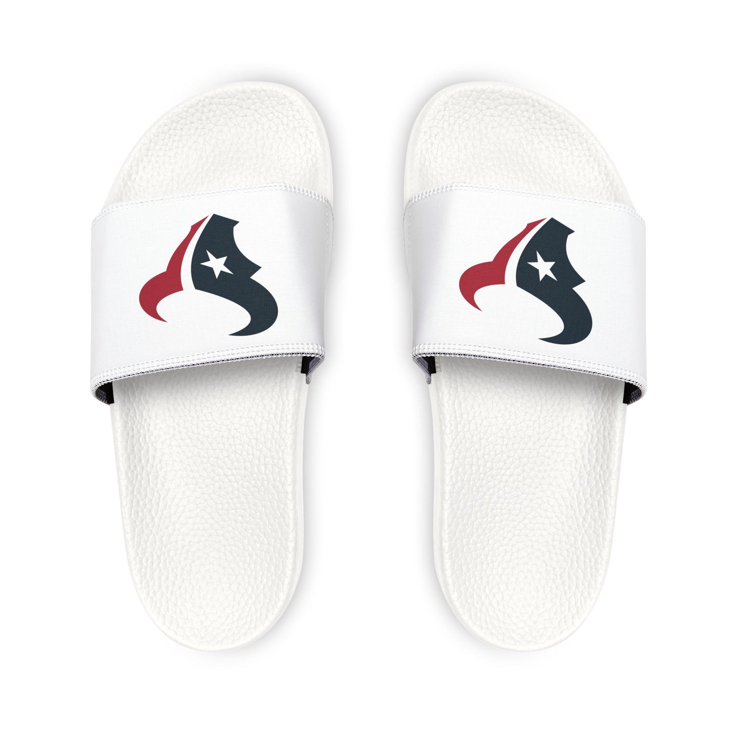 Houston Texans Slides