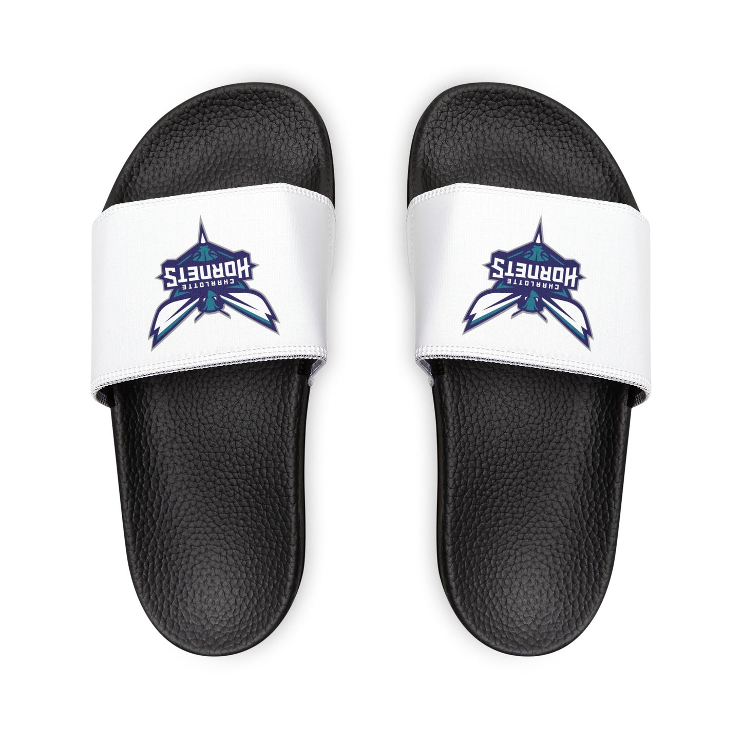 Charlotte Hornets Slides