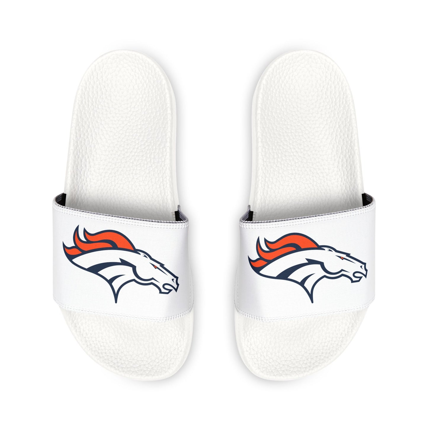 Denver Broncos Slides