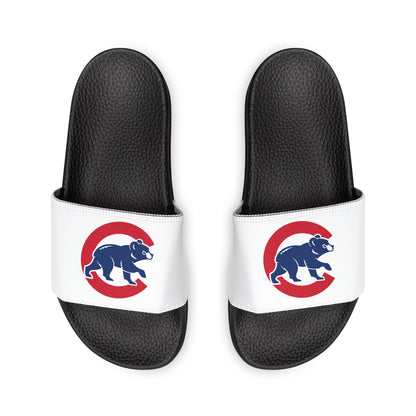 Chicago Cubs Bear Slides