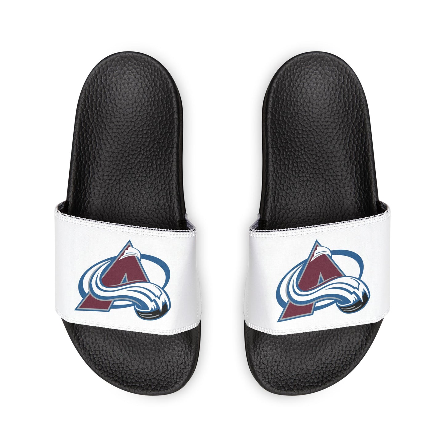 Colorado Avalanche Slides