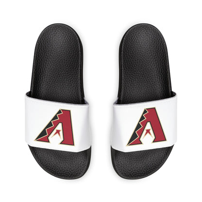 Arizona Diamond Backs Slides