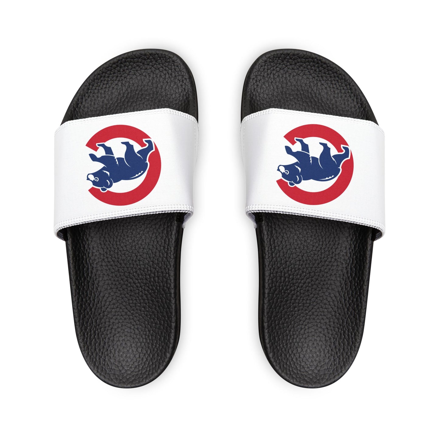 Chicago Cubs Bear Slides