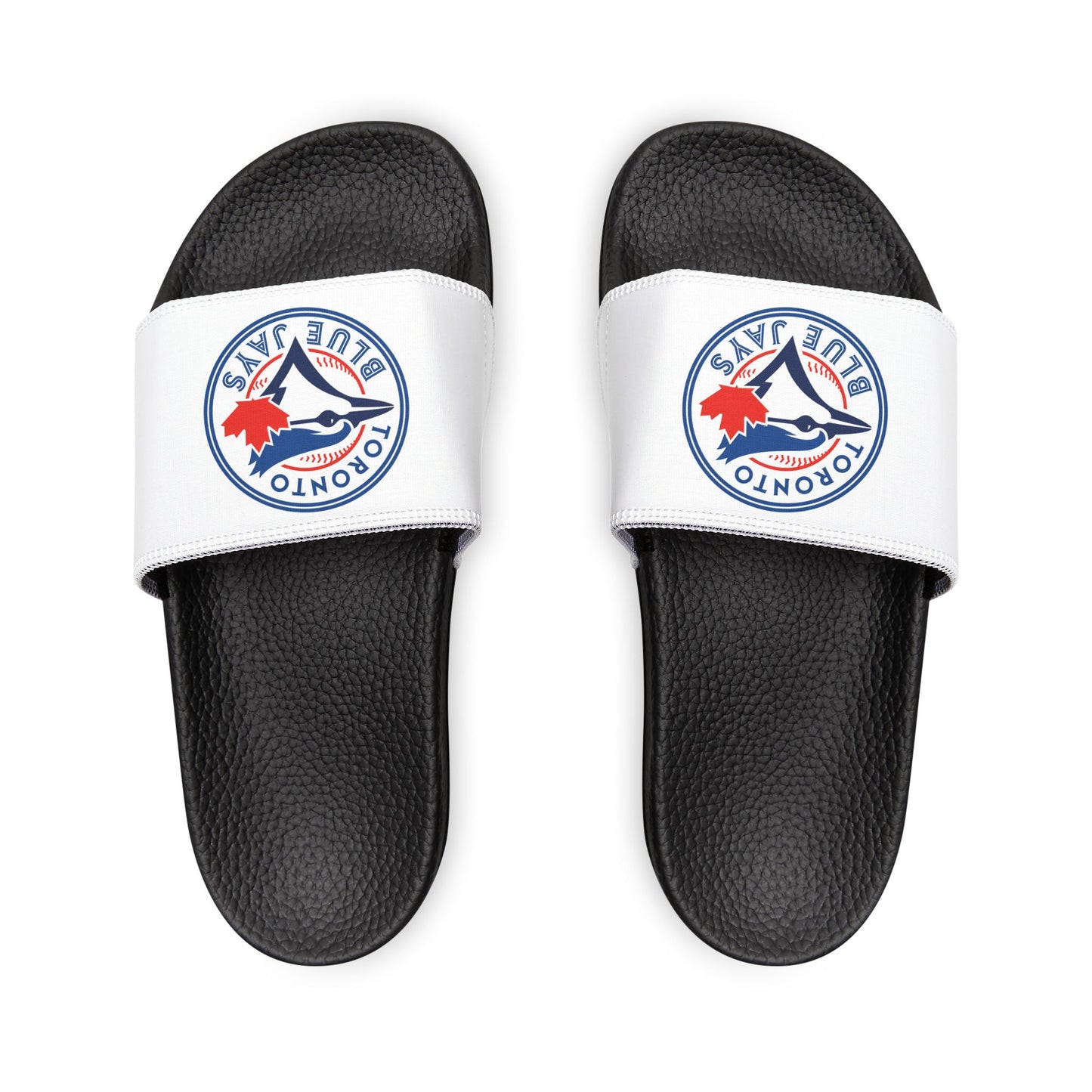 Toronto Blue Jays Slides