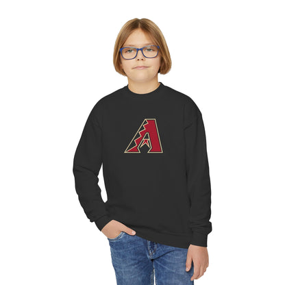 Arizona Diamond Backs Youth Sweatshirt