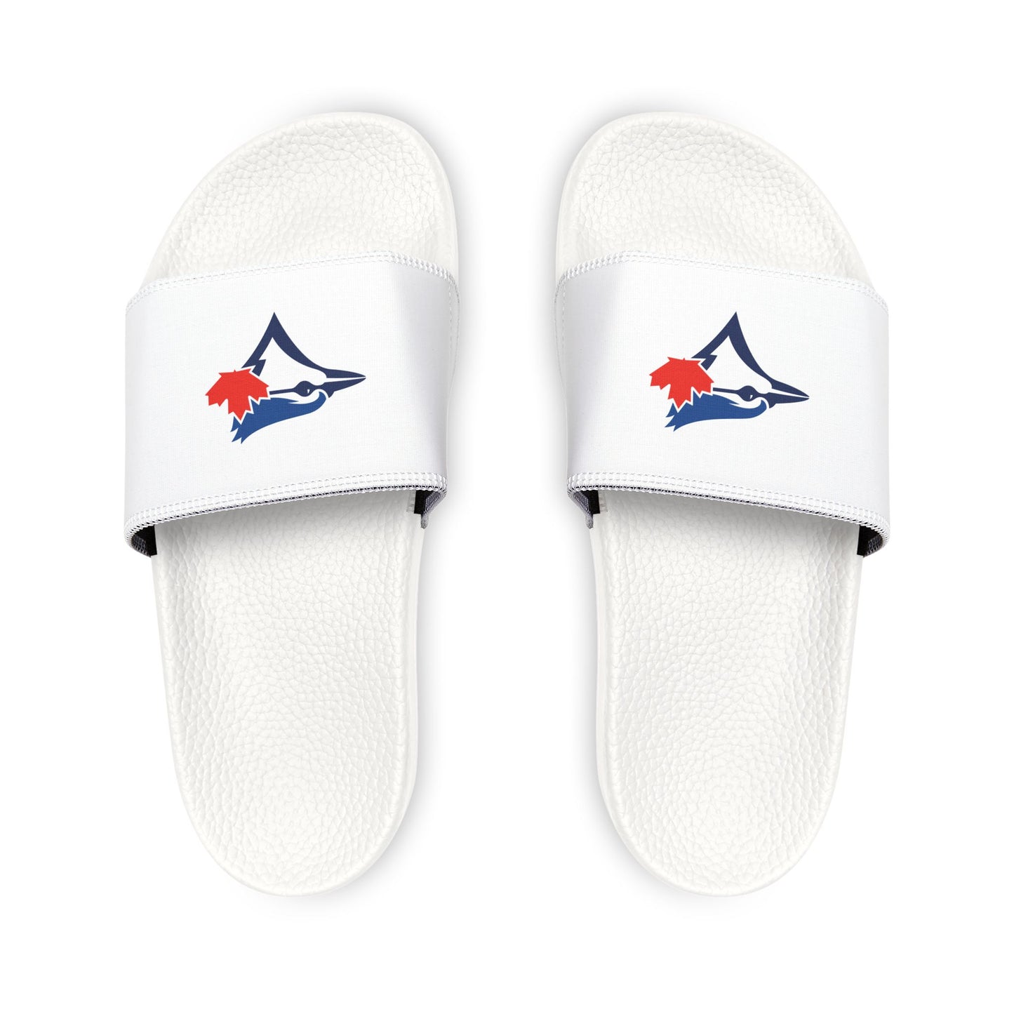 Toronto Blue Jays Bird Slides