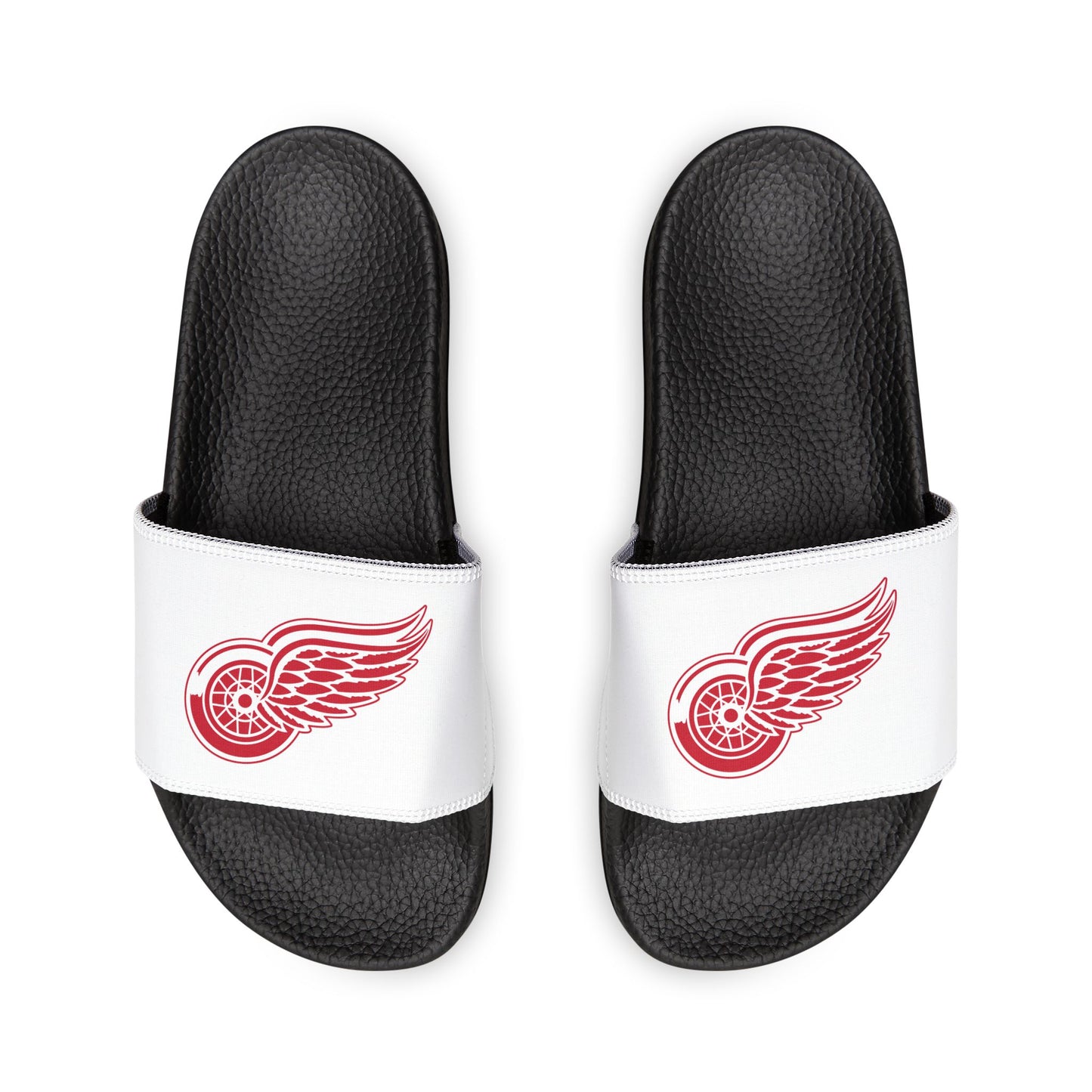 Detroit Red Wings Slides