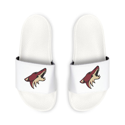 Arizona Coyotes Slides