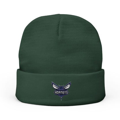 Embroidered Charlotte Hornets Knit Beanie