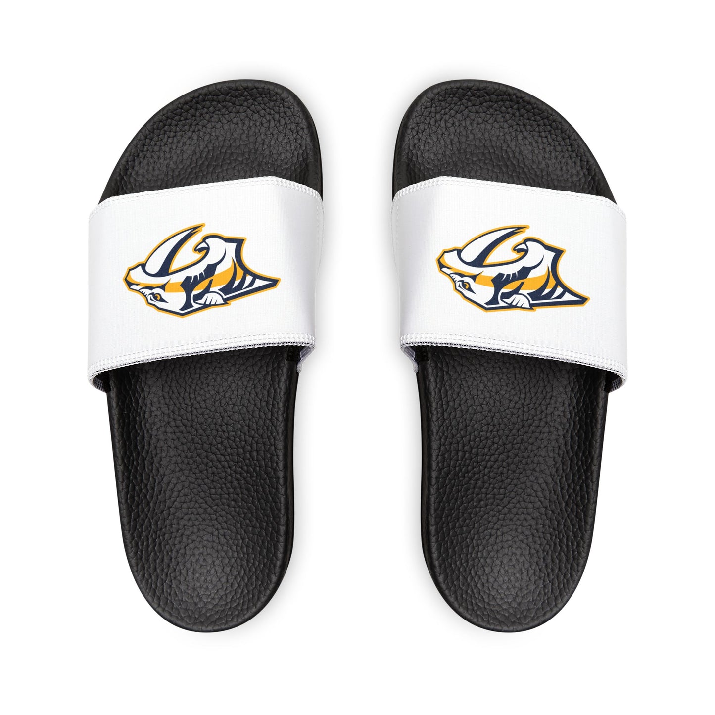 Nashville Predators Slides