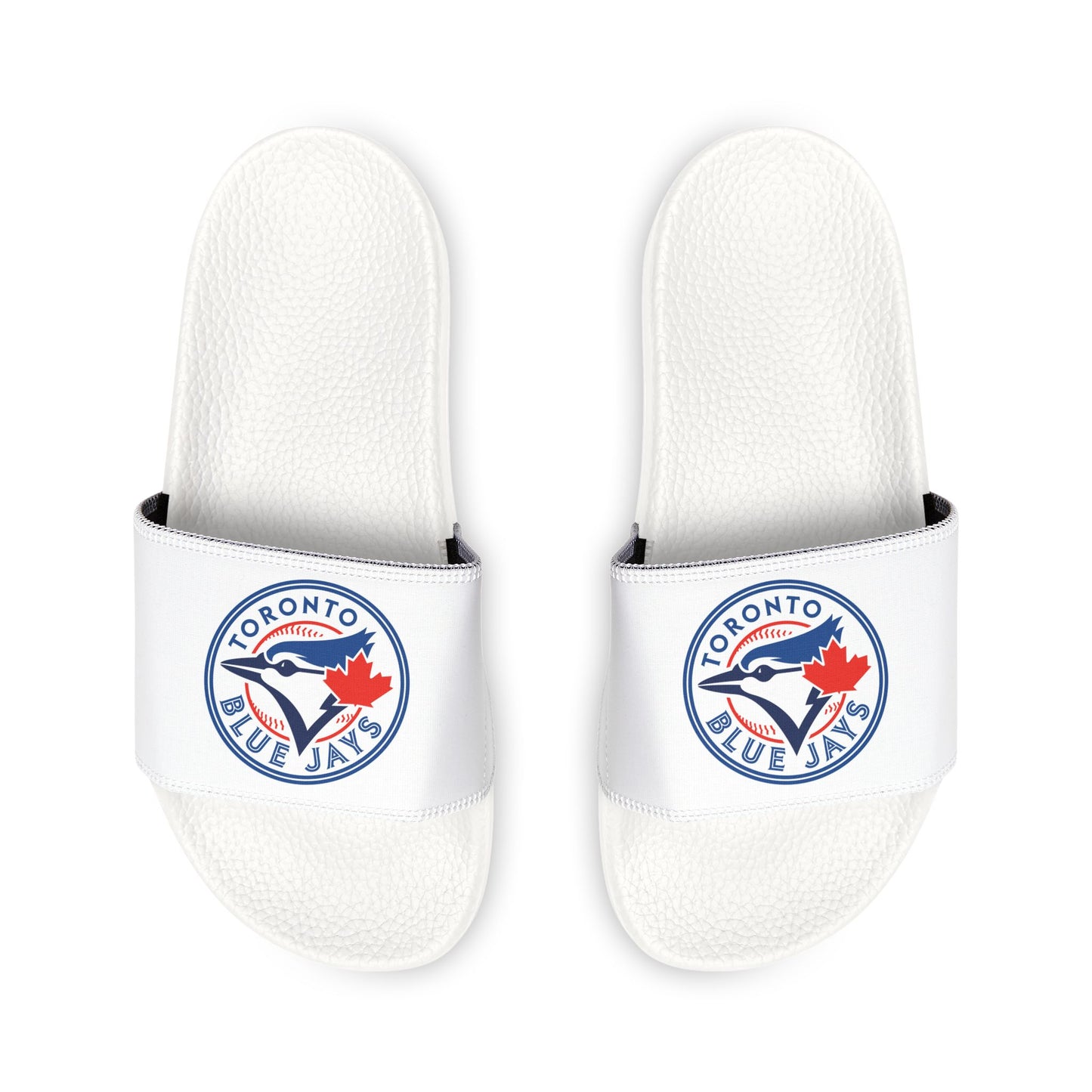 Toronto Blue Jays Slides