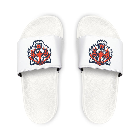 Detroit Tigers Tiger Slides