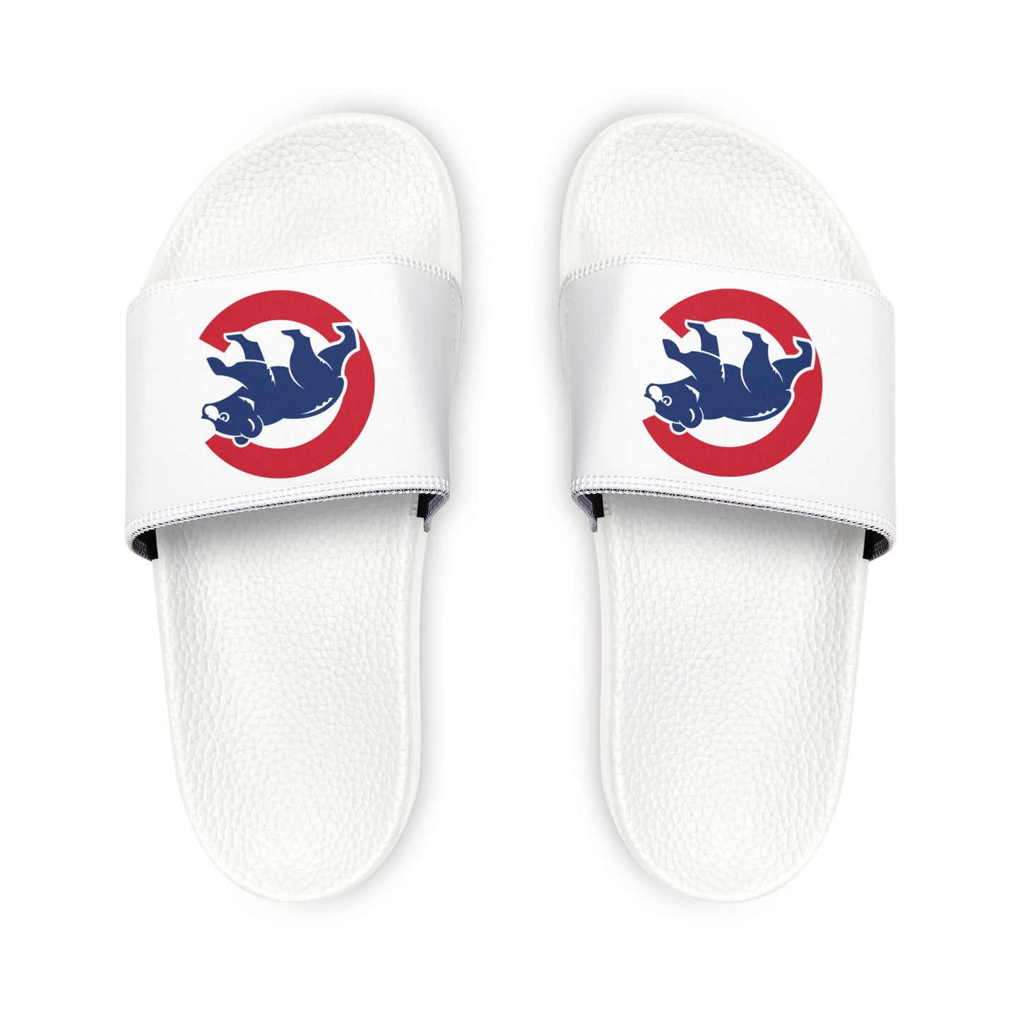 Chicago Cubs Bear Slides