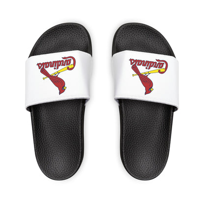 St. Louis Cardinals Slides