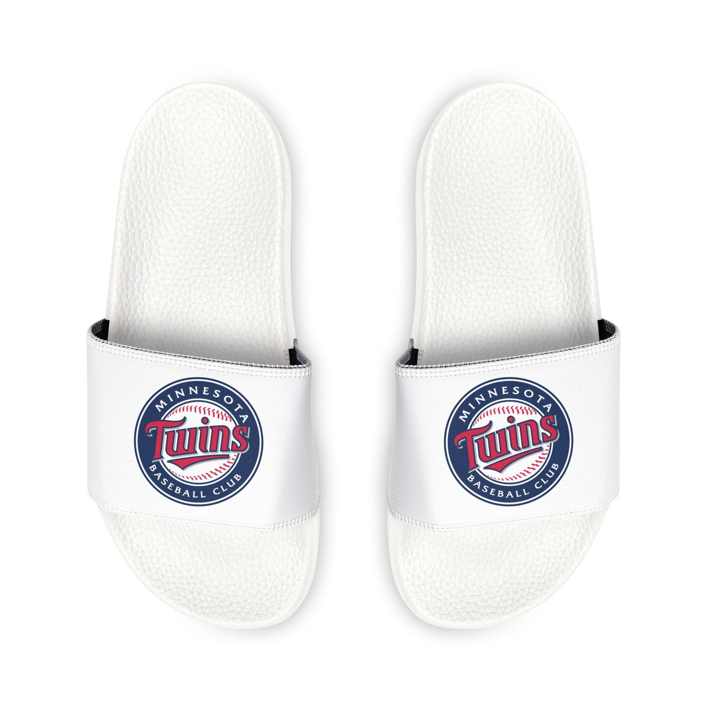 Minnesota Twins Slides