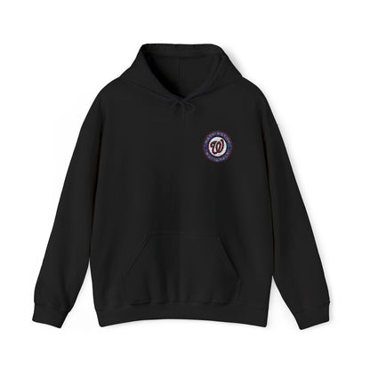 Washington Nationals Embroidered Hoodie