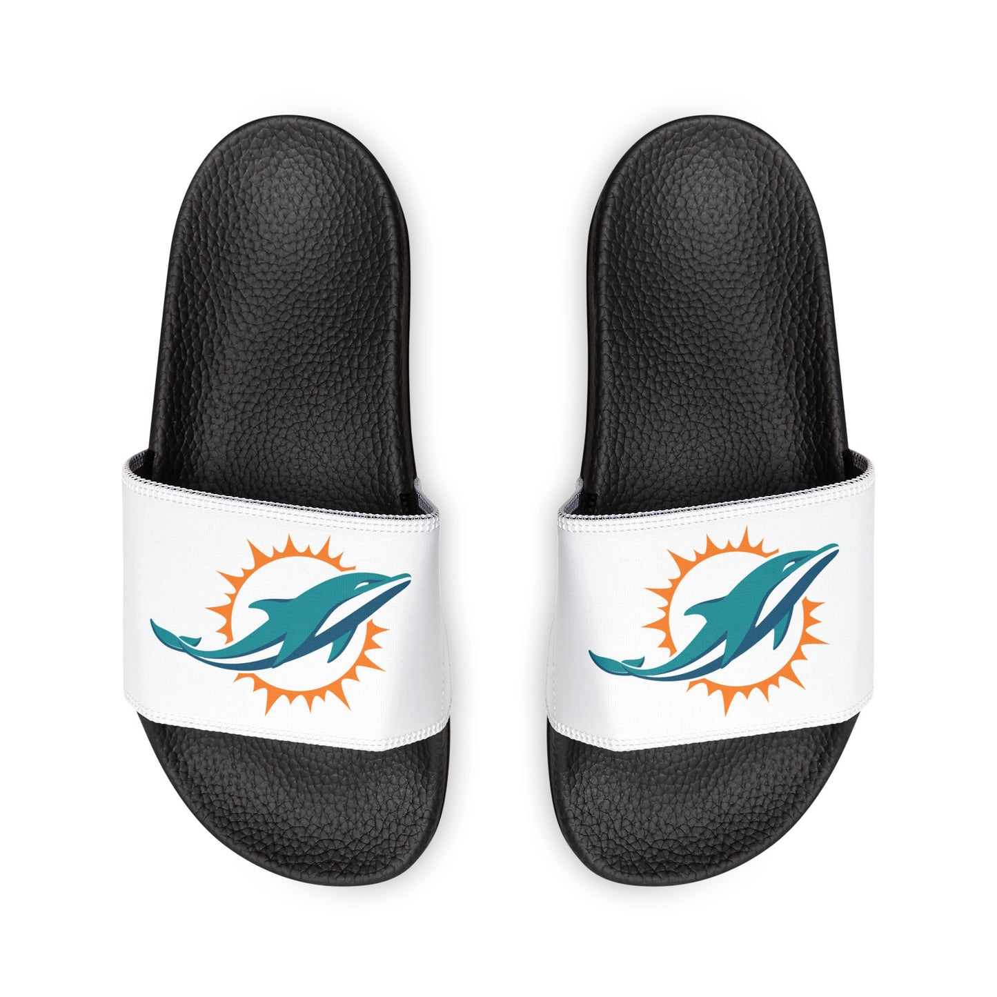 Miami Dolphins Slides