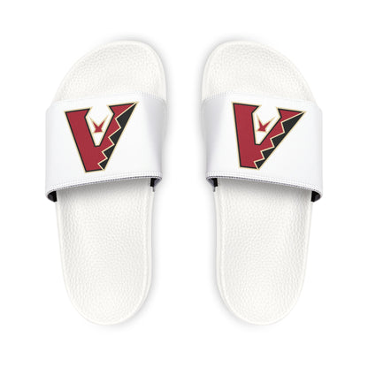 Arizona Diamond Backs Slides