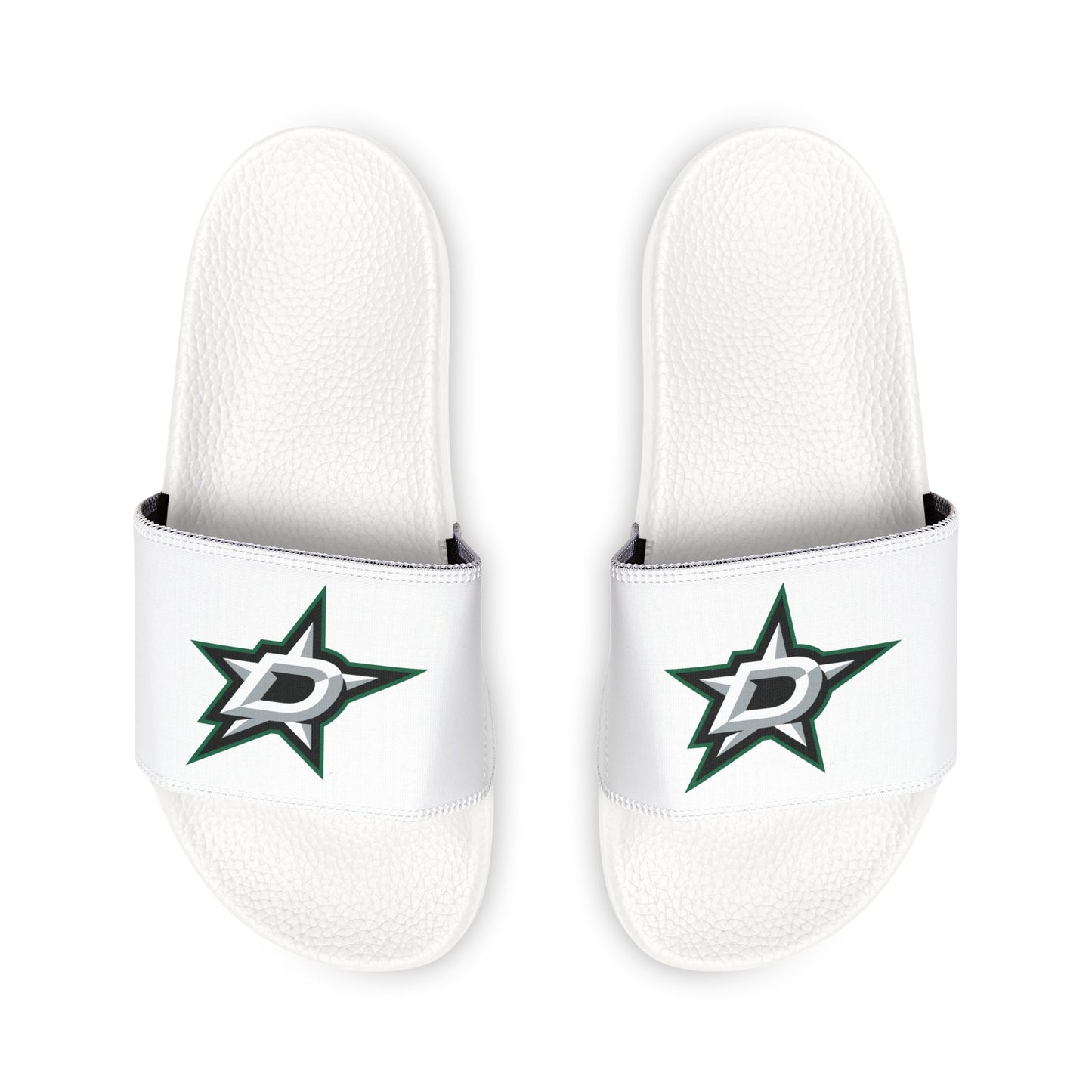 Dallas Stars Slides