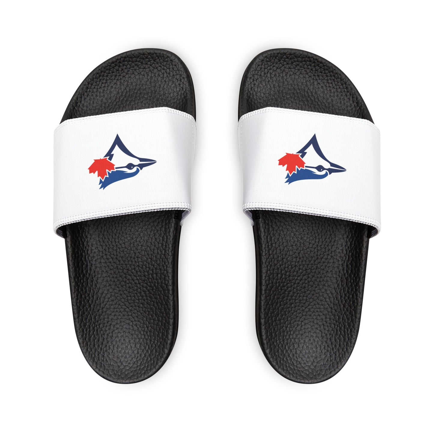 Toronto Blue Jays Bird Slides