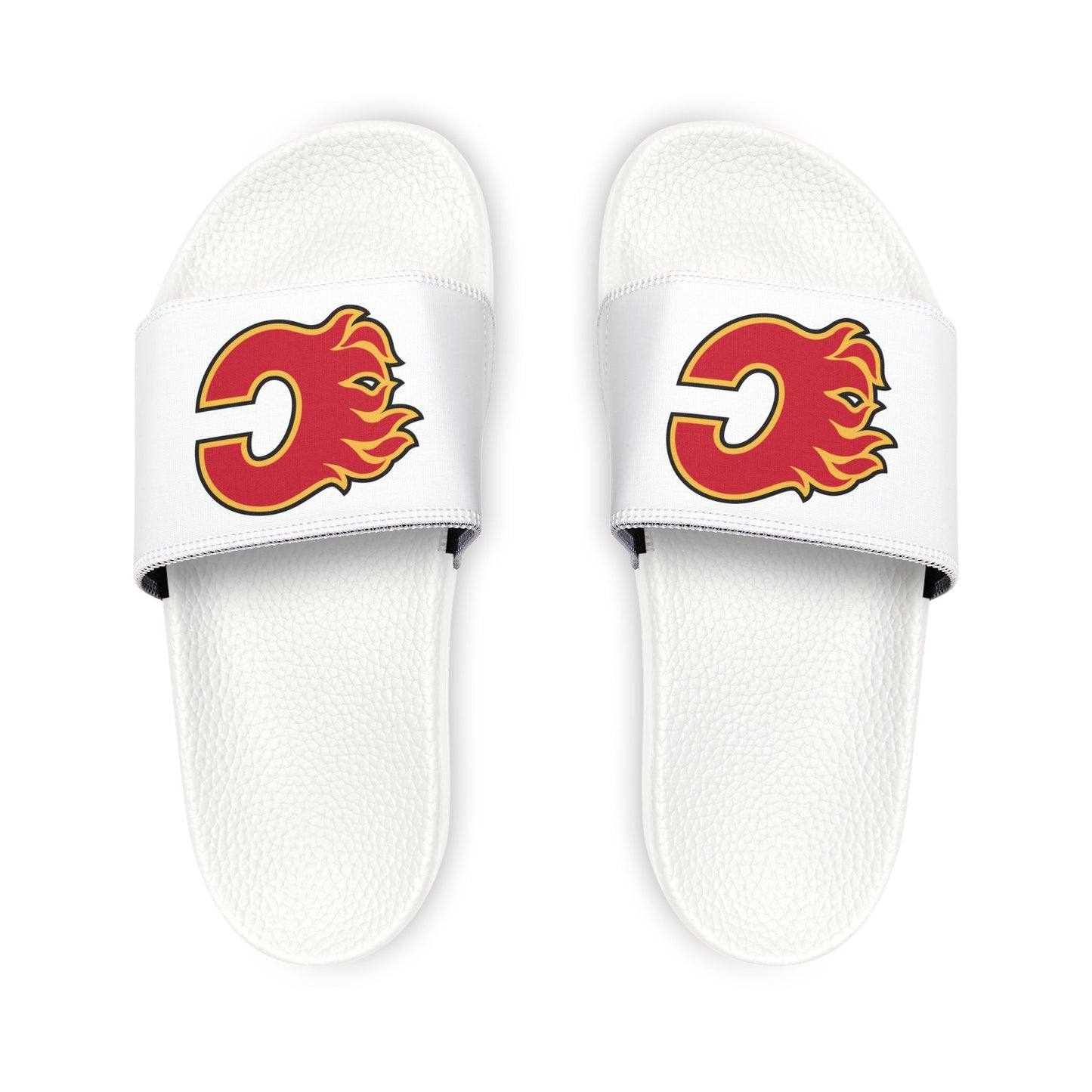 Calgary Flames Slides