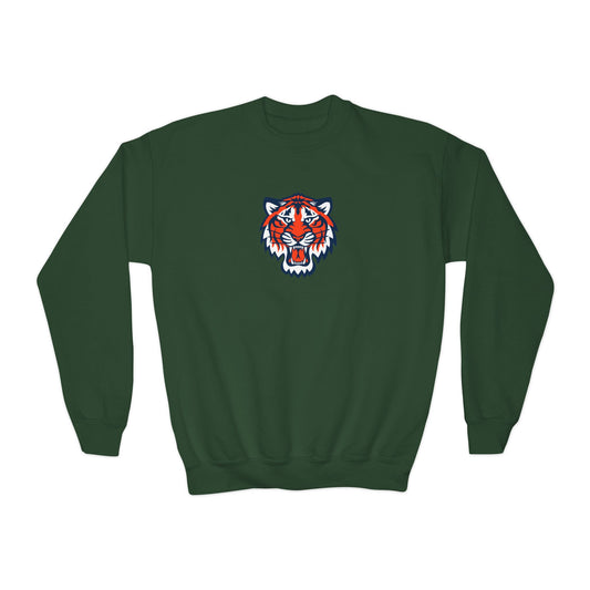 Detroit Tigers Tiger Youth Sweatshirt