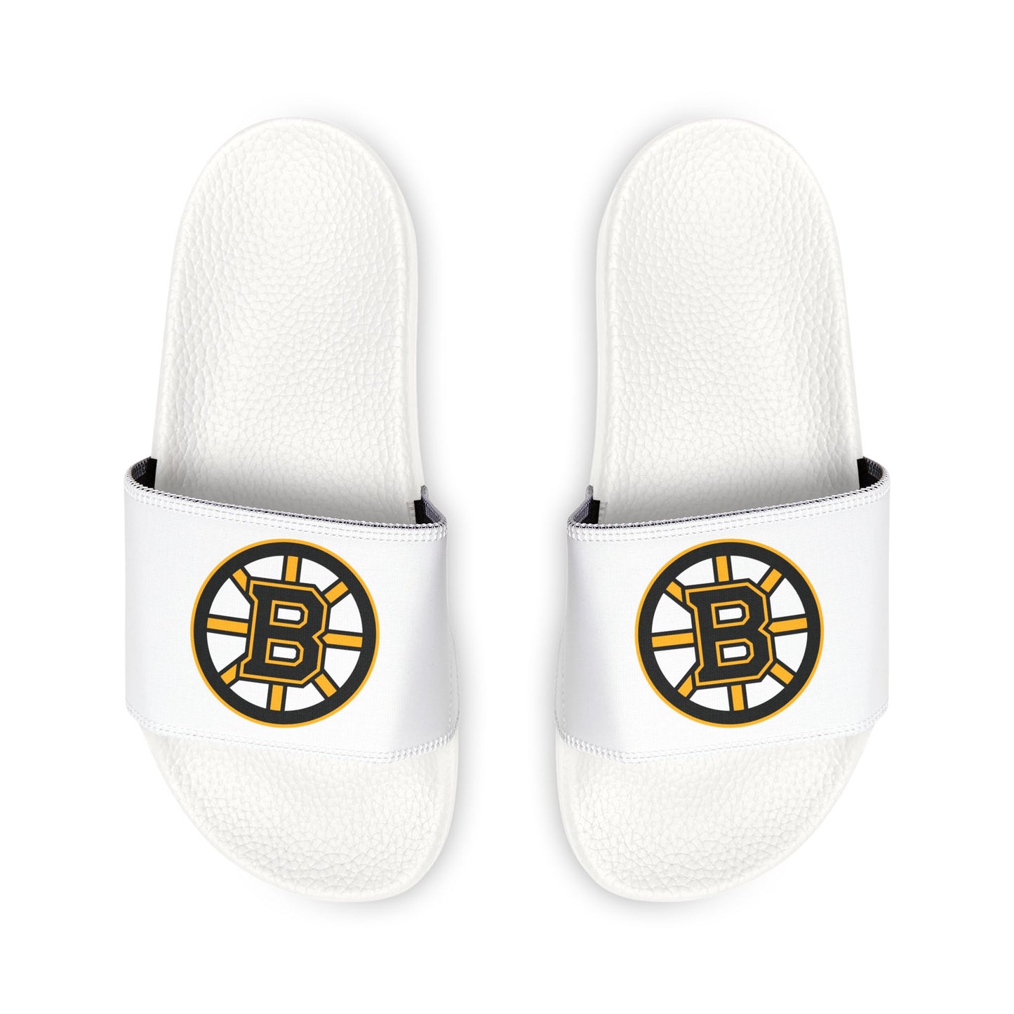 Boston Bruins Slides