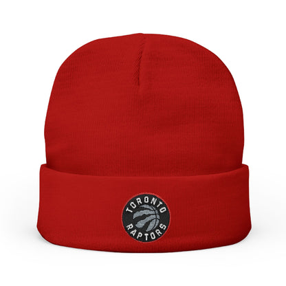 Embroidered Toronto Raptors Knit Beanie