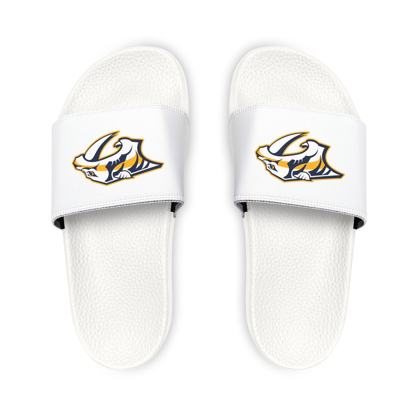 Nashville Predators Slides