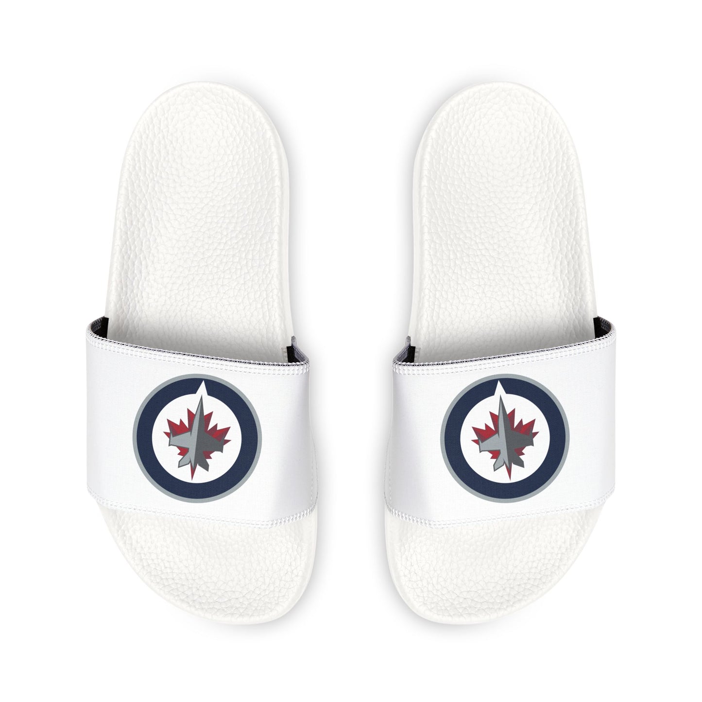 Winnipeg Jets Slides