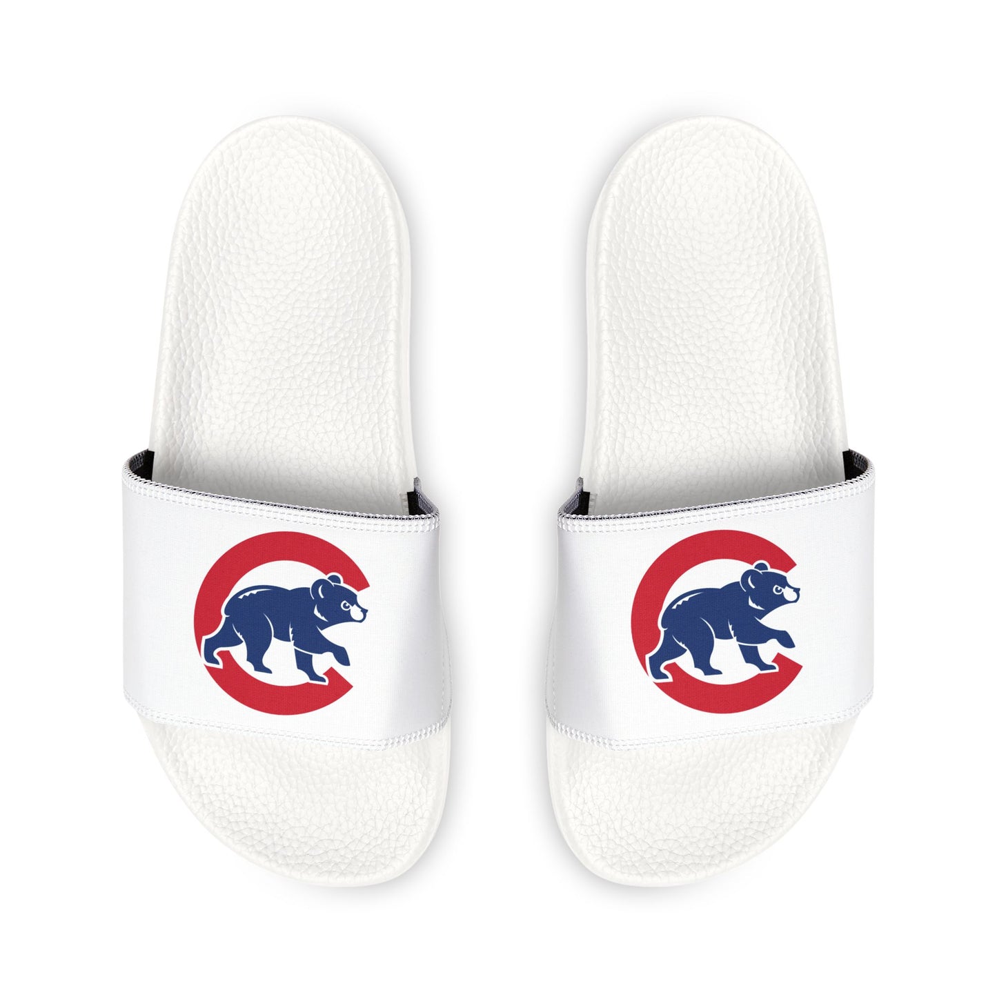 Chicago Cubs Bear Slides