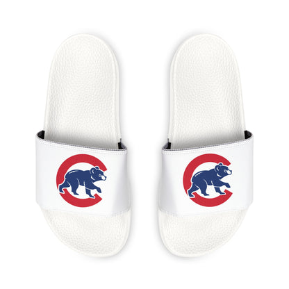 Chicago Cubs Bear Slides