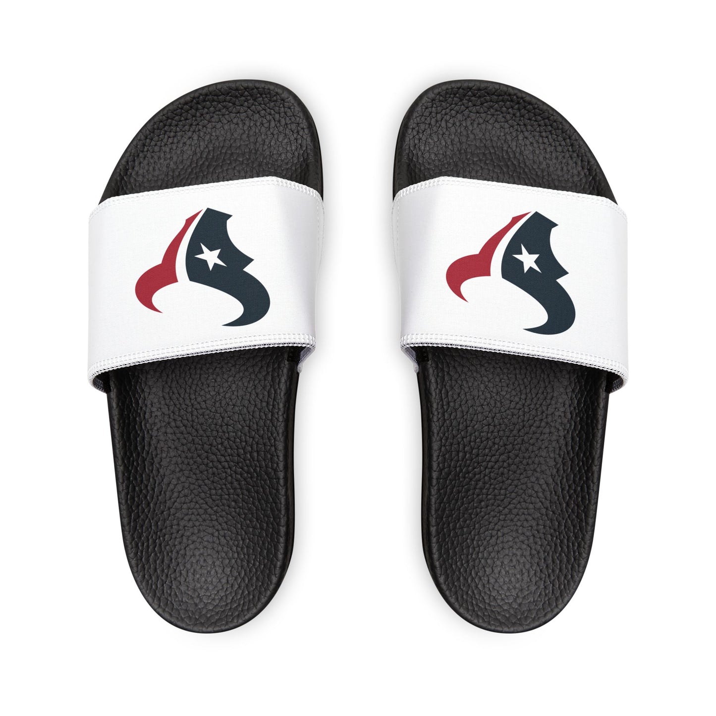 Houston Texans Slides