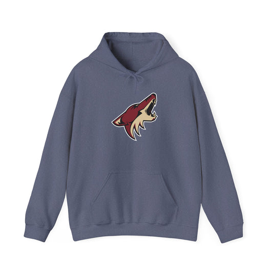 Arizona Coyotes Pullover Hoodie