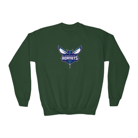 Charlotte Hornets Youth Sweatshirt